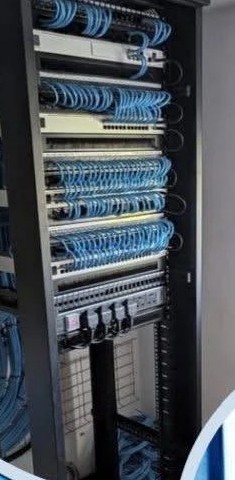 Network cabinet with patch panels and switches, fully cabled